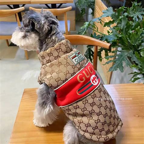 gucci dog carrier|designer dog coats gucci.